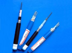 本安型計算機(jī)電纜