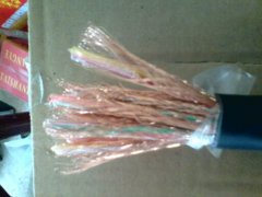 本質(zhì)安全電路用計算機(jī)屏蔽電纜